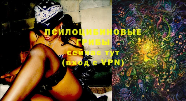 скорость Алексеевка
