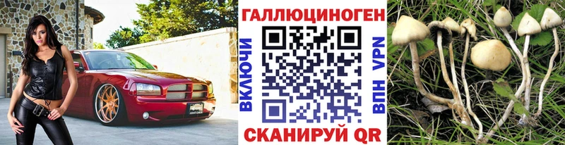 Псилоцибиновые грибы Psilocybe  дарнет шоп  Неман 